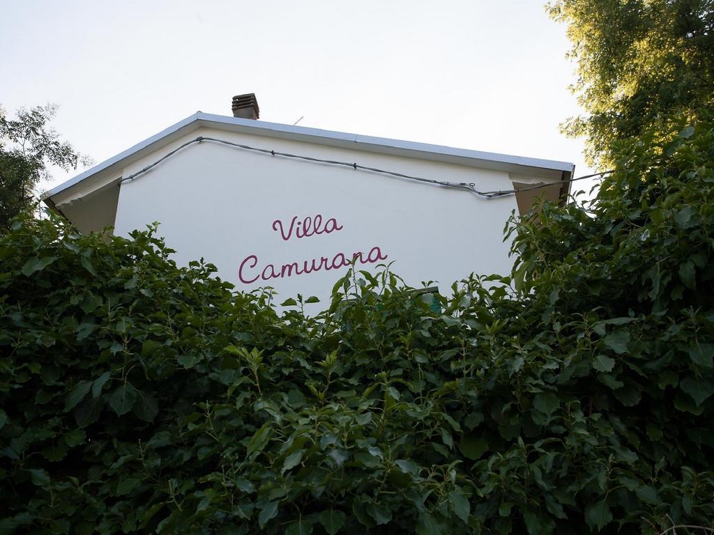 Villa Camurana Medolla Dış mekan fotoğraf